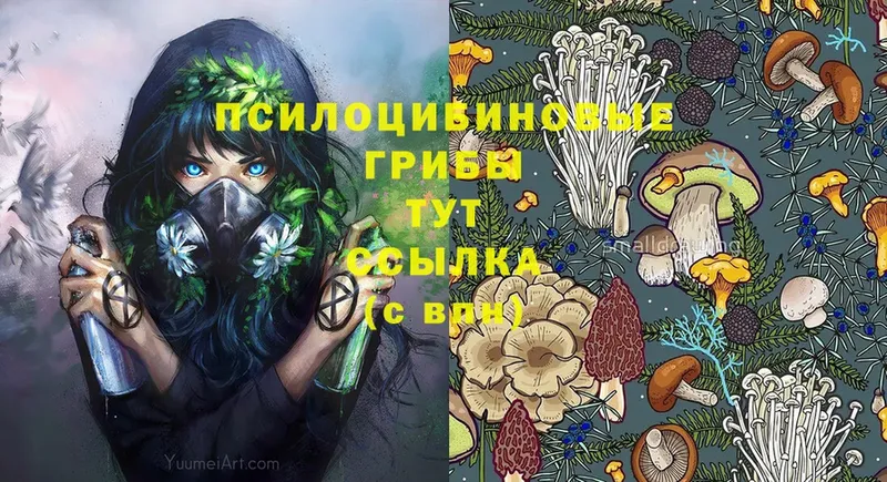 Галлюциногенные грибы Psilocybe  Бахчисарай 